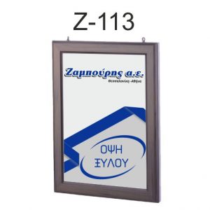 Z113